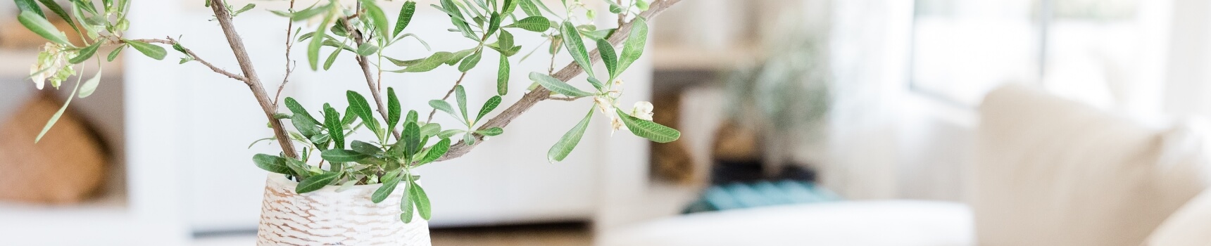 buy a home in tracy ca living room out of focus